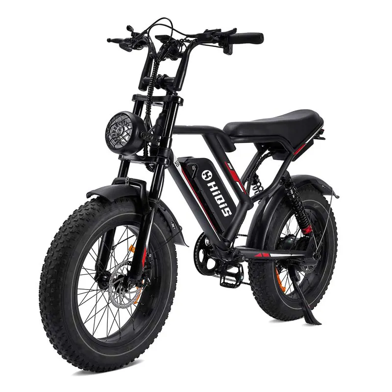 off-road fat tire e-bike