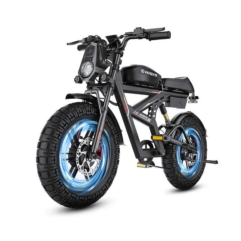 electric fat tire bike